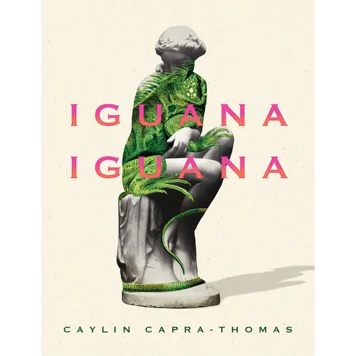 Iguana Iguana - Paperback