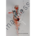 Madness: A Philosophical Exploration - Paperback