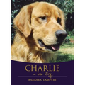 Charlie: A Love Story - Paperback