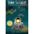 Shine the Light - Enlightened Leadership: Taming Dragons and Enhancing Performance - Paperback