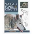Wolves, Foxes & Coyotes (Wildlife Painting Basics) - Hardcover