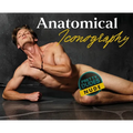 Anatomical Iconography - Hardcover