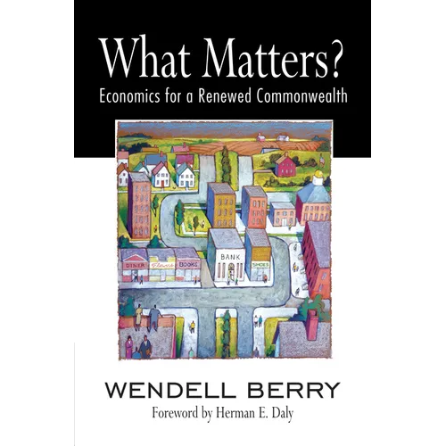 What Matters?: Economics for a Renewed Commonwealth - Paperback