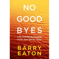 No Goodbyes: No Goodbyes: Life-Changing Insights from the Other Side - Paperback