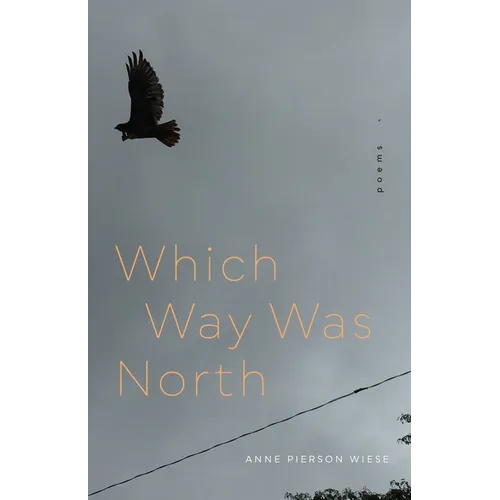 Which Way Was North: Poems - Paperback