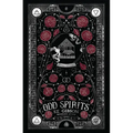 Odd Spirits - Hardcover