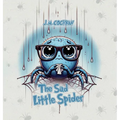 The Sad Little Spider - Hardcover
