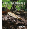 Next Time You See a Maple Seed - Paperback
