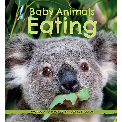 Baby Animals Eating - Paperback