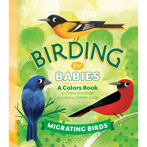 Birding for Babies: Migrating Birds: A Colors Book - Board Book