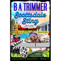 Scottsdale Sting: a fun, romantic, thrilling, adventure... - Paperback