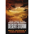 Desert Storm - Paperback