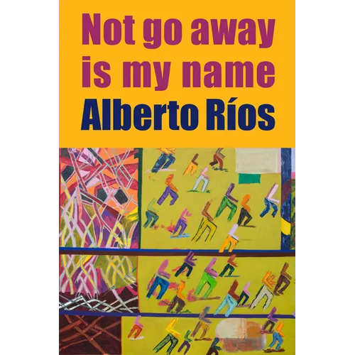 Not Go Away Is My Name - Paperback