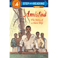 Amistad: The Story of a Slave Ship - Paperback