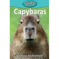 Capybaras - Paperback