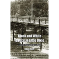 Black and White Justice in Little Dixie: Three Historical Essays