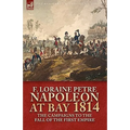 Napoleon at Bay, 1814: the Campaigns to the Fall of the First Empire