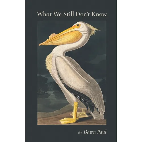 What We Still Don't Know - Paperback