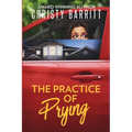The Practice of Prying - Paperback