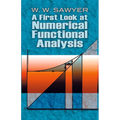A First Look at Numerical Functional Analysis - Paperback