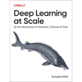 Deep Learning at Scale: At the Intersection of Hardware, Software, and Data - Paperback