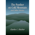 The Panther on Cold Mountain and Other Stories - Paperback