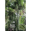 Ferns of Palau: A Field Guide - Paperback