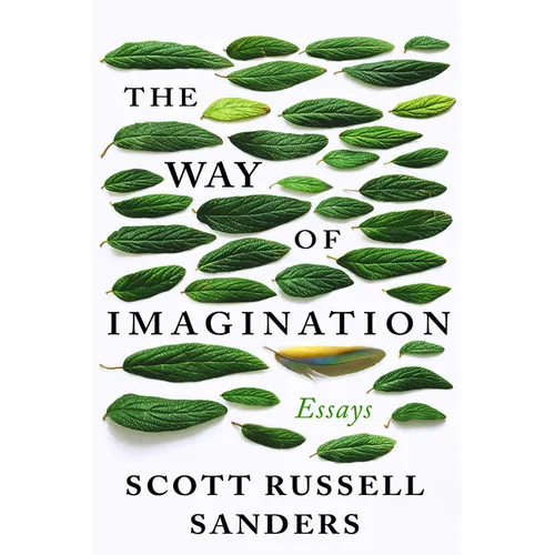 The Way of Imagination: Essays - Paperback