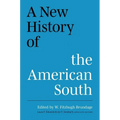 A New History of the American South