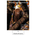 Birding for Beginners - Paperback