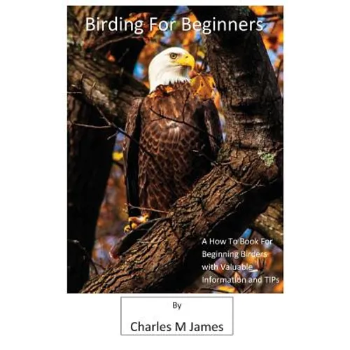 Birding for Beginners - Paperback