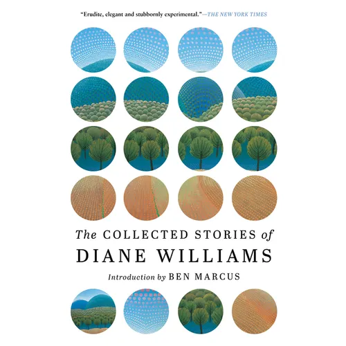 The Collected Stories of Diane Williams - Paperback