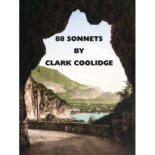 88 Sonnets: Poems - Paperback