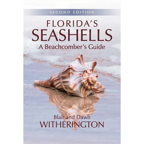 Florida's Seashells: A Beachcomber's Guide - Paperback