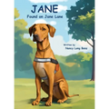 Jane Found on Jane Lane - Hardcover