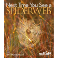 Next Time You See a Spiderweb - Paperback