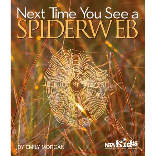 Next Time You See a Spiderweb - Paperback