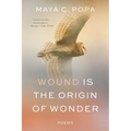 Wound Is the Origin of Wonder: Poems - Paperback