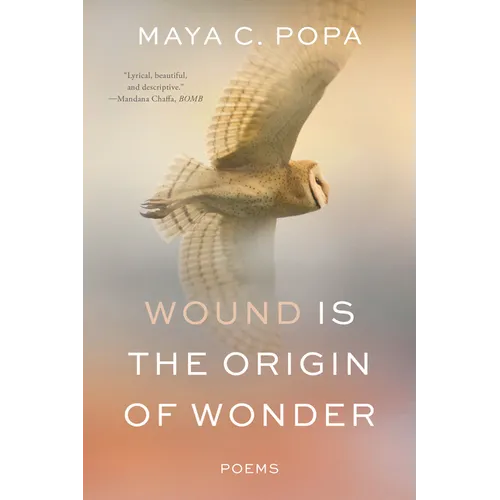 Wound Is the Origin of Wonder: Poems - Paperback