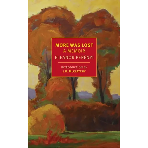 More Was Lost: A Memoir - Paperback