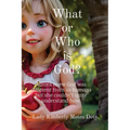 What or Who is God? - Paperback
