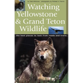 Watching Yellowstone & Grand Teton Wildlife - Paperback
