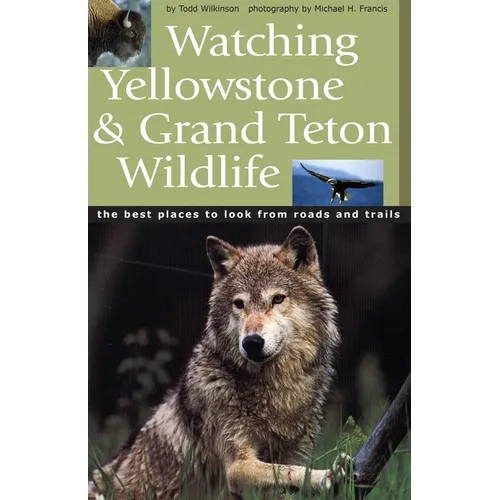 Watching Yellowstone & Grand Teton Wildlife - Paperback