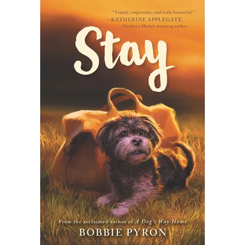 Stay - Paperback