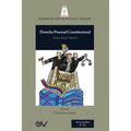 Derecho Procesal Constitucional - Paperback