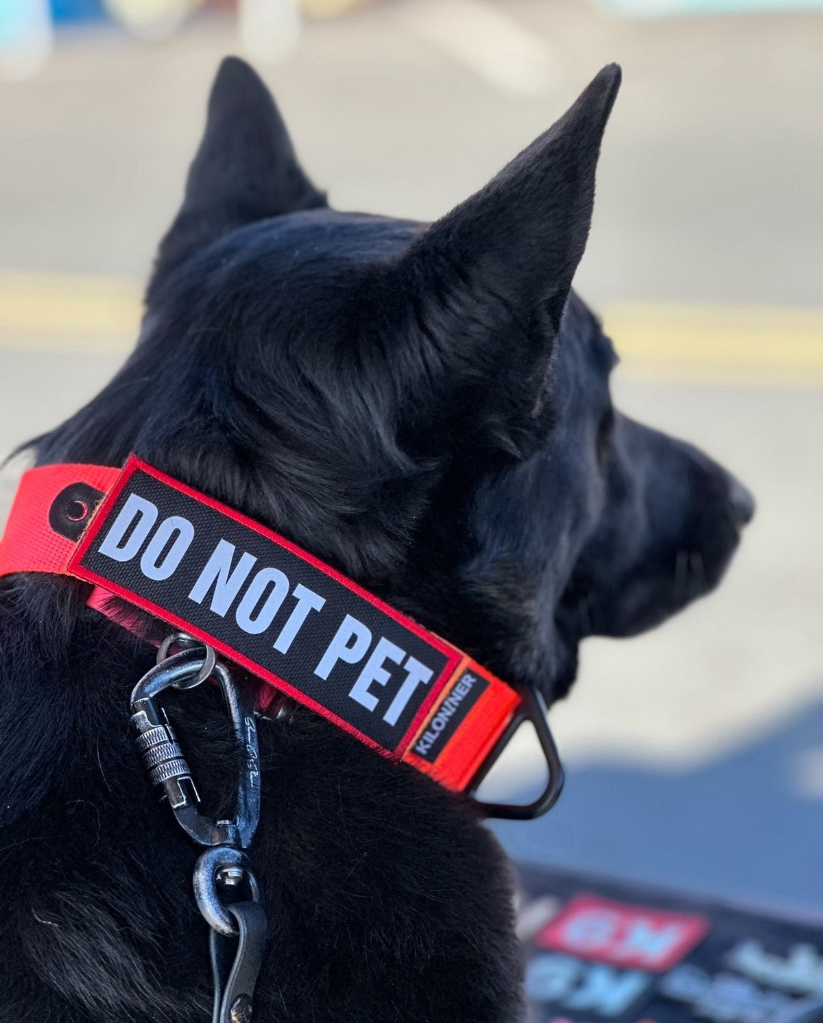 Do Not Pet Reflective Morale Patch