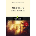 Meeting the Spirit - Paperback