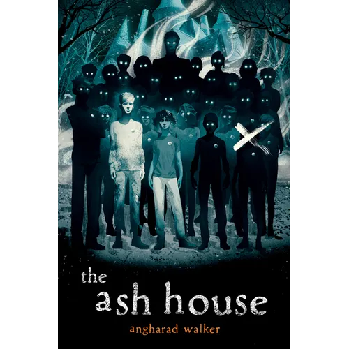 The Ash House - Hardcover