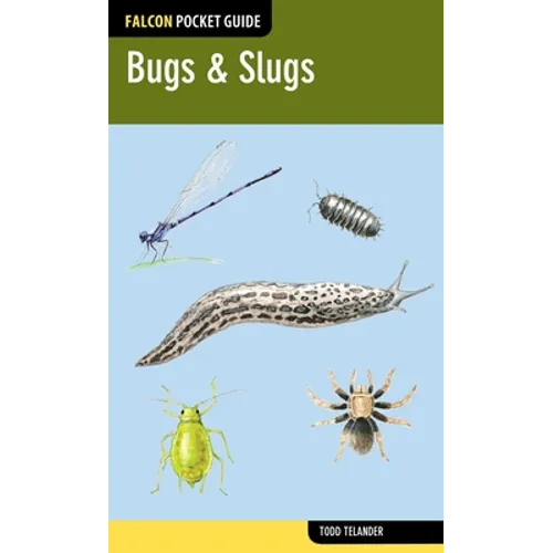 Bugs & Slugs - Paperback
