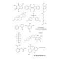 Chemistry: A Novel (Textbook) - Volume 1 - Paperback